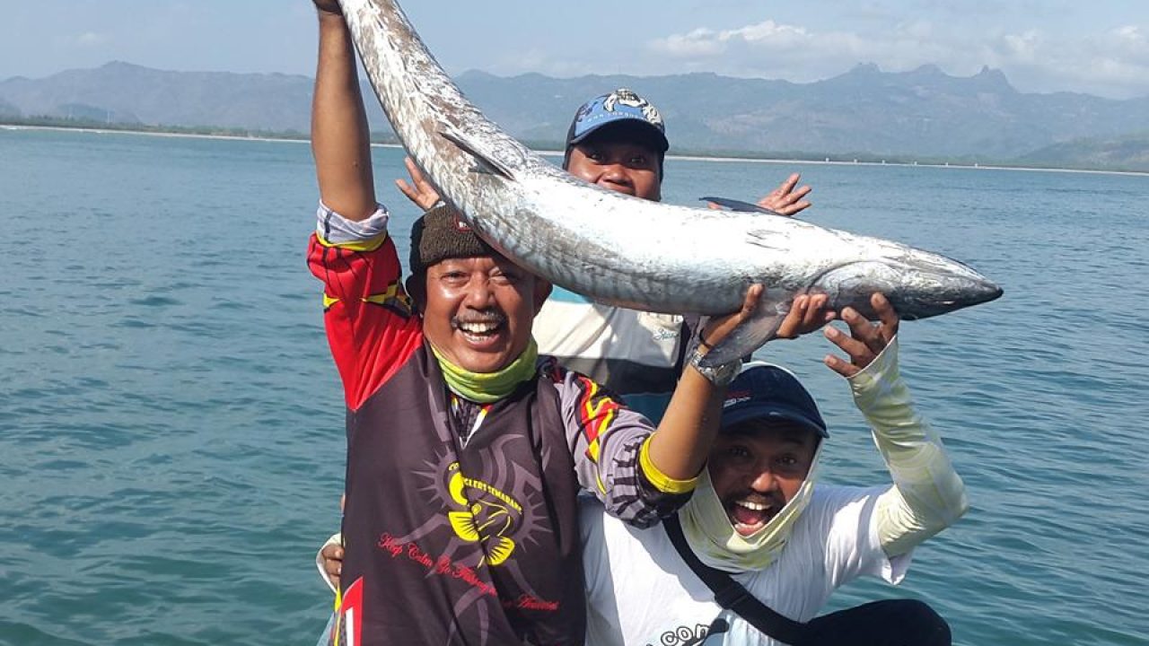 5 Tips Memilih Umpan Memancing Ikan Tenggiri